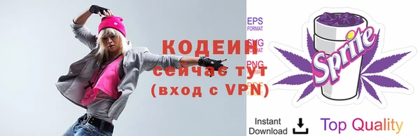 ГАЛЛЮЦИНОГЕННЫЕ ГРИБЫ Наволоки
