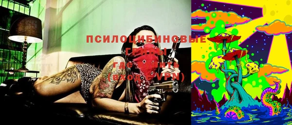 ГАЛЛЮЦИНОГЕННЫЕ ГРИБЫ Наволоки