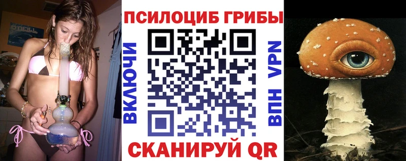 сайты даркнета клад  что такое наркотик  Кукмор  Галлюциногенные грибы Psilocybe 